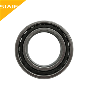 300度耐高温角接触球香蕉APP下载 7304C